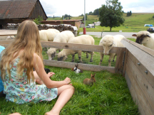 Camping Apartmany Sedliacky Dvor tráviť čas v blízkosti zvierat, to je dovolenku