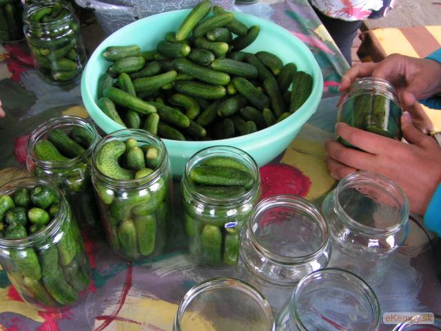 Camping Apartmany Sedliacky Dvor farmarske aktivity ....